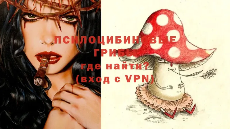 Галлюциногенные грибы Psilocybine cubensis Шелехов